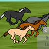 play Horse Race Match