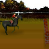 play Horse Jumping 2