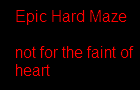 play The Epic Hard Maze