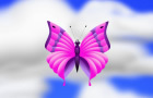 play Flybutterfly