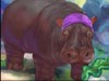 play Hungry Hippo