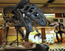 play Hidden Objects-Museum 2