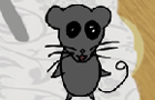 play Drug The Mouse