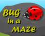 play Bug In A Maze