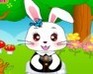 play Cute Bunny