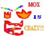 play Mox Crazy Quiz