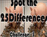 Spot The 25 Differences Challenge - 3
