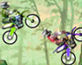 Dirt Bike Championship