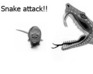 play Snake Attack