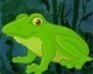 play Frog Zen Pond