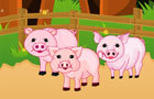 play Baby Piggy Care