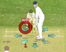 play The Ashes Cricket