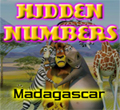 play Hidden Numbers-Madagascar
