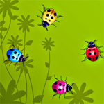 play Color Bugs