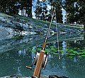 Lake Fishing-2