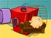 play Pet Home Designer: Hamster Paradise