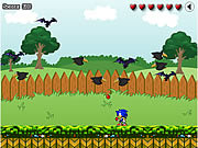 play Sonic In Garden