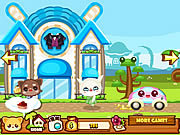play Daily Pet City