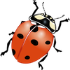 play Ladybug Jigsaw