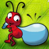 play The Ant Explorer