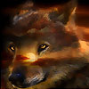 play Wild Wolf Puzzle