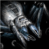 play Arachnid Wars 1.5