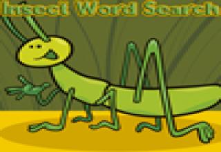 play Insect Word Search