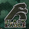 play Black Eagle