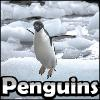 Save The Penguin