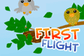 play First Flight