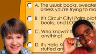 Ned'S Personality Quiz game