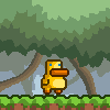 Gravity Duck