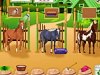play Horse Care Apprenticeships