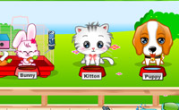 play My Cute Pets 2