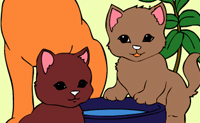 play Online Coloring Cats