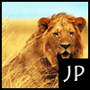 play Lion Jigsaw Puzzle