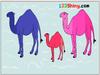 play Camel Coloring