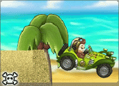 play Monkey Kart