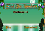 play Find The Numbers Challenge - 6