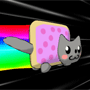 play Nyan Cat 3D