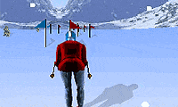 play Ski-Slalom