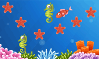 play Star Fish