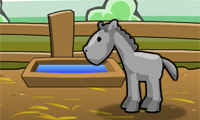 play Horse Rancher