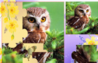 play Funny Puzzle With Animal