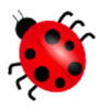 play Ladybug Jigsaw
