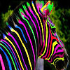 play Colorful Zebra Slide Puzzle