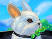 play My Rabbit