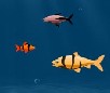 play Franky The Fish
