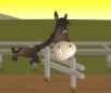 play Horse Run Run 3