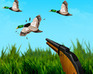 play The Duck Hunter